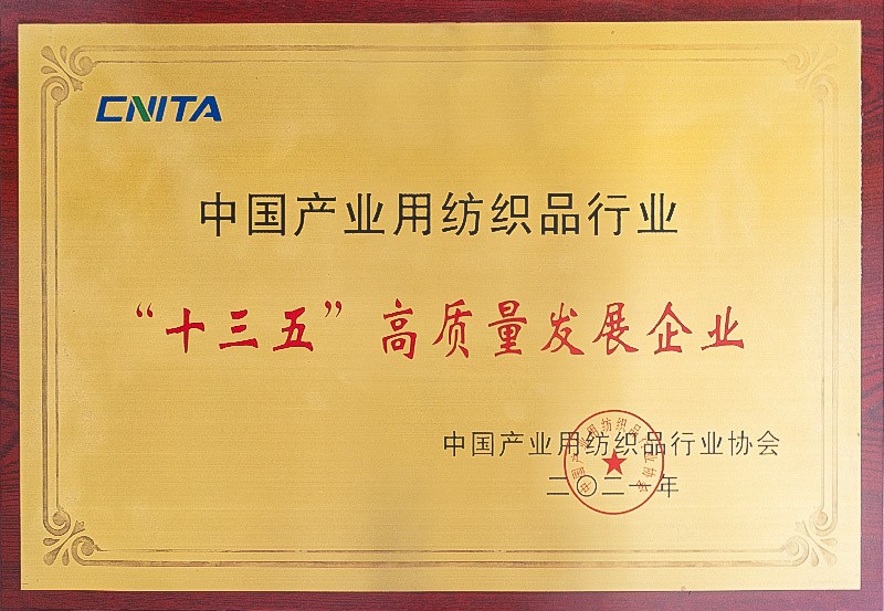十三五高質量發展企業